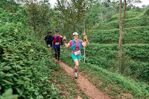 BIB: 
                            <button type="button" onclick="openModal(24878952)" class="btn btn-primary btn-sm float-right btn-popup" data-toggle="modal" data-target=".modal-high-quality">
                        <i class="fas fa-shopping-cart"></i> Add to Cart
                    </button>
                                            <button type="button" onclick="isThisMe(24878952, true)" class="btn btn-success btn-sm float-right btn-popup btn-isme hidden" data-toggle="tooltip" data-placement="bottom" title="นี่คือรูปของคุณใช่ไหม คลิกที่นี่เพื่อเอาเข้าอัลบั้ม">
                        <i class="fas fa-plus"></i> Add to album
                    </button>
                    <button type="button" onclick="isThisMe(24878952, false)" class="btn btn-warning btn-sm float-right btn-popup btn-isnotme hidden">
                        <i class="fas fa-ban"></i> Remove from album
                    </button>